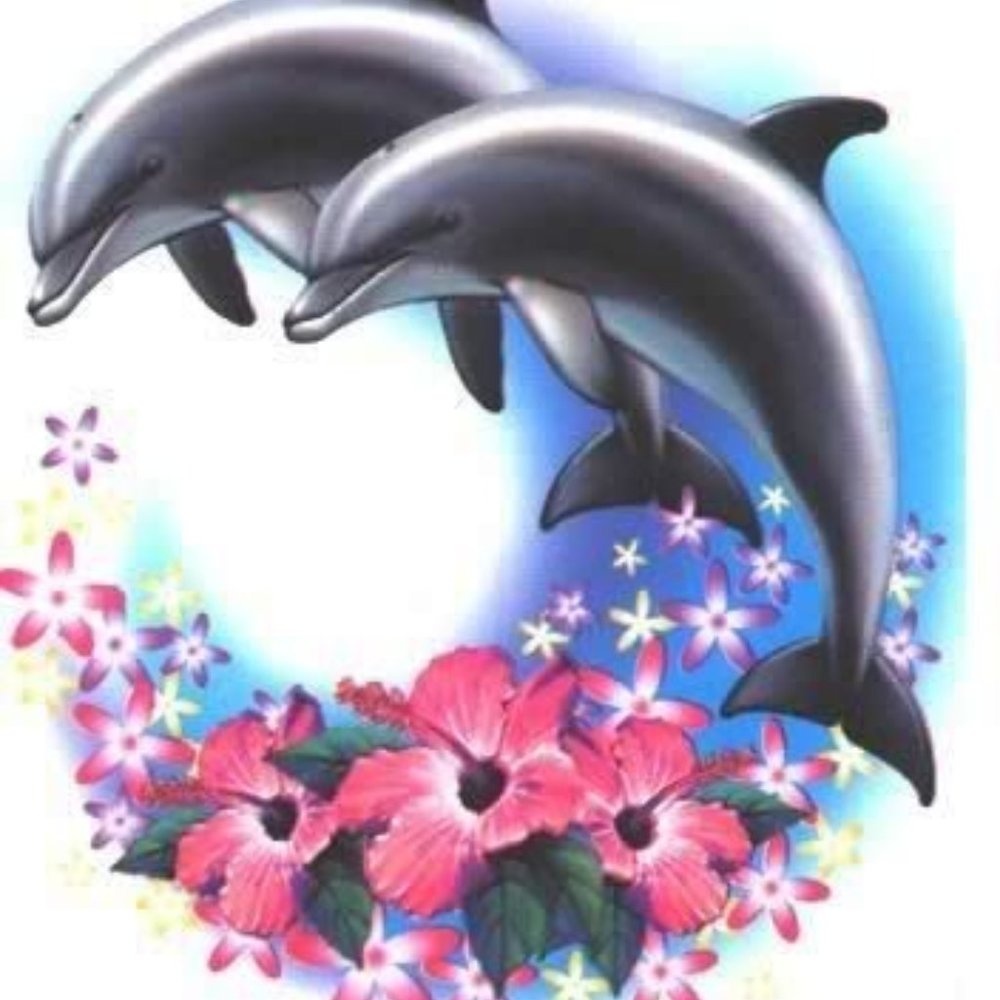 Meet your Posher, Isabella